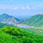 India Pledges Protection Of Aravallis, Highlights Green Wall Project