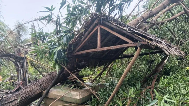 Emergency assistance has been delivered in collaboration with Jersey Overseas Aid, and Harvie said there was still a pressing need.