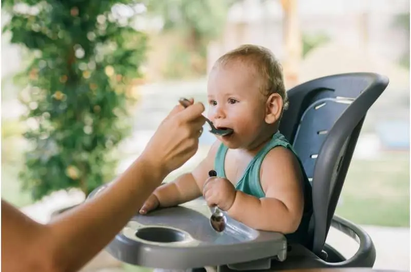Switching from milk to solid food in early life helps reprogram the gut’s immune defenses, researchers find