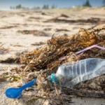 Earth Day 2026: Addressing India’s Plastic Dilemma and Accountability Issues