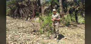 Anita Chaudhary, 30, Serves as Dedicated Forest Guard in Rajasthan Sanctuary