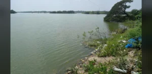 Voters in Tirukkoyilur Express Frustration Over Post-Division Uncertainty Ahead of 2026 Tamil Nadu Polls