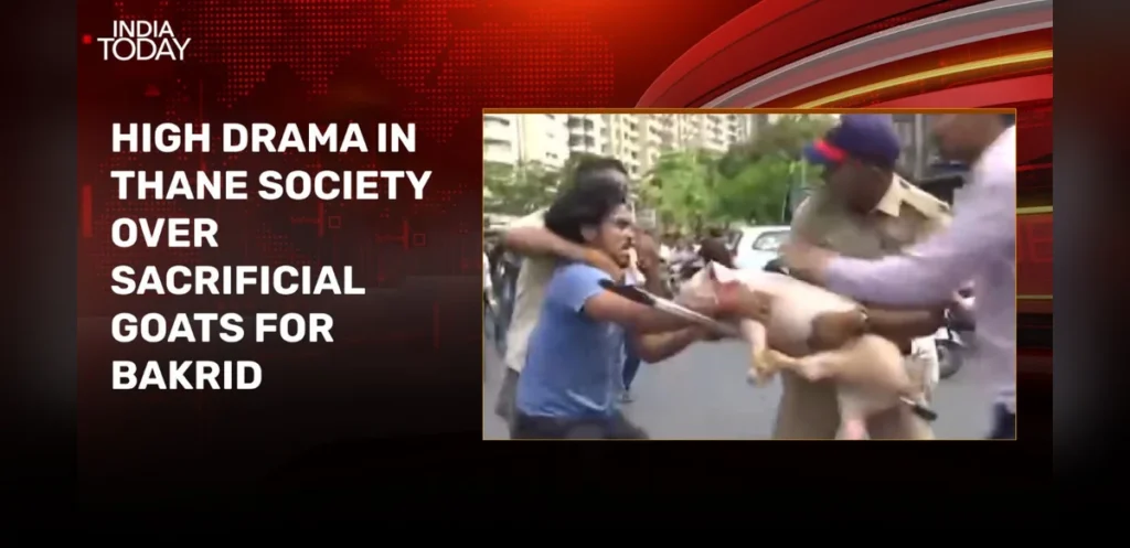 Clash Erupts Over Animal Sacrifice in Thane Housing Society