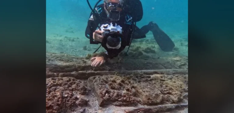 Archaeologists uncover pirate shipwrecks linked to golden age in Bahamas