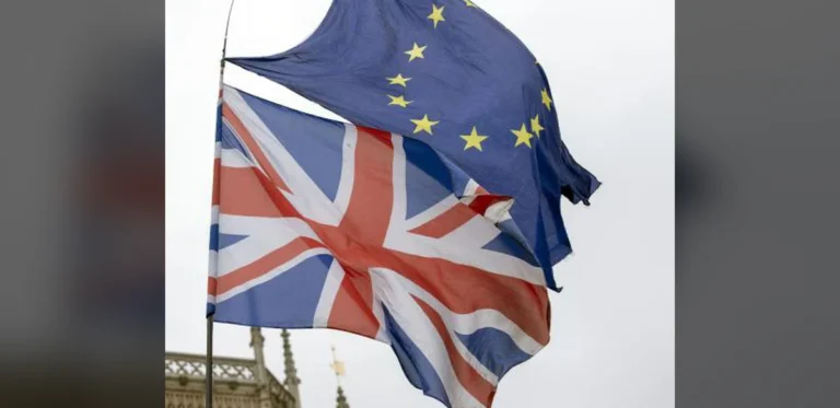 Liberal Democrats Urge Labour to End Cautious EU Stance and Rejoin Single Market