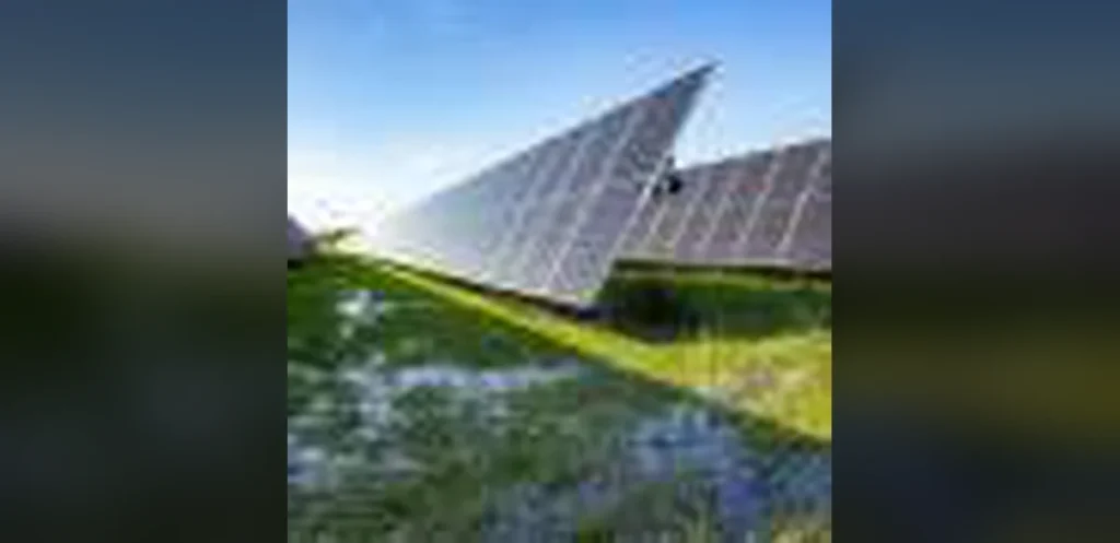 Solar panels on rewetted peatland could be a climate and nature win-win