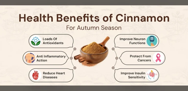 Uses, Benefits, and Side Effects of Dalchini (Cinnamon)