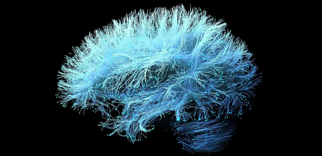 Study Links Glucosamine Use to Faster Alzheimer’s Decline