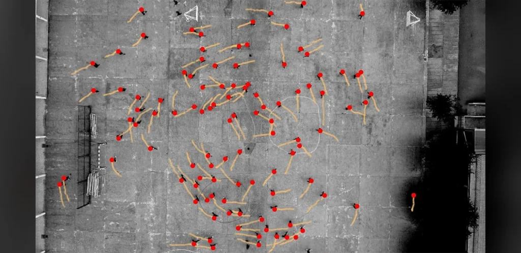 Study Finds Humans Show Consistent Counterclockwise Bias When Walking