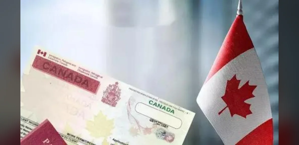 Survey Shows Canadians Split on Immigration Benefits and Numbers