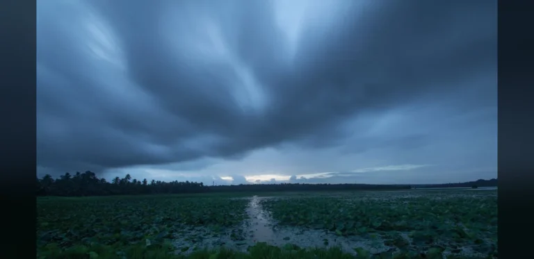 Monsoon Advances Inland Amid IMD Warnings on Seas and Heat