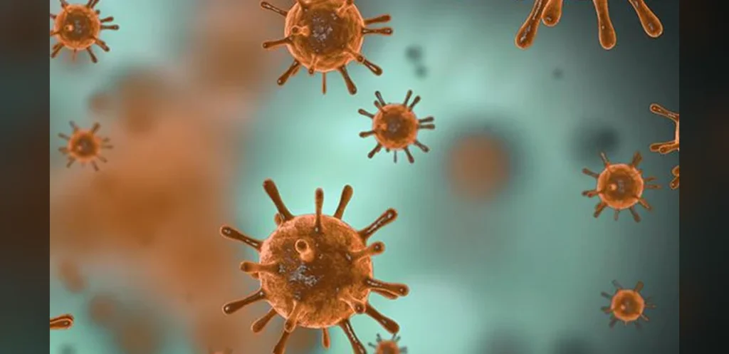 Tamil Nadu Health Department Reports No Highly Virulent COVID-19 Variant
