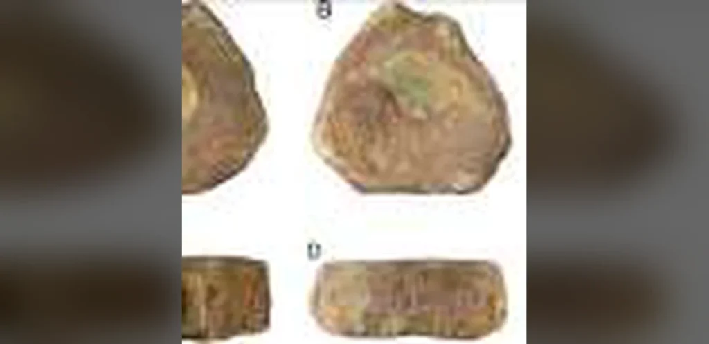 Oldest known deliberately collected ichthyosaur fossil found in Roman Britain pit