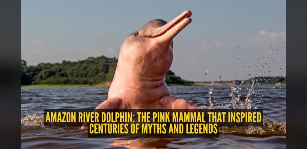 Amazon River Dolphin: Pink Mammal Behind Centuries of Myths