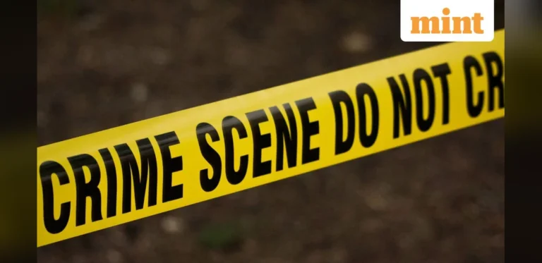 Delhi Violence: 10-Year-Old Boy in ICU After Attack in Mayur Vihar