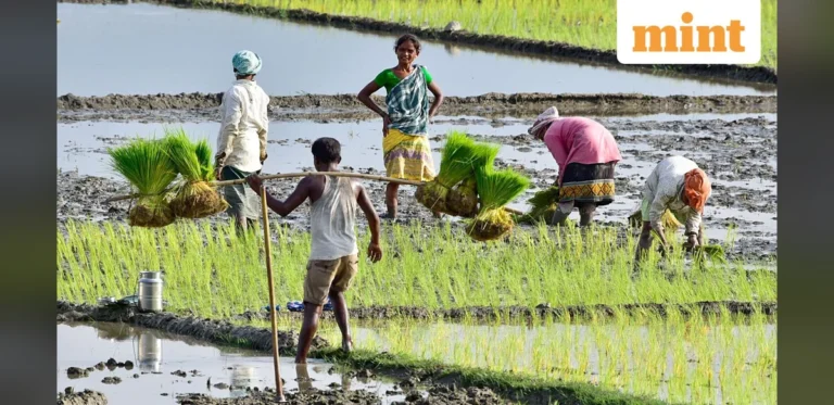 Mint Macro Tracker: India’s macro scorecard weakens as domestic strains build