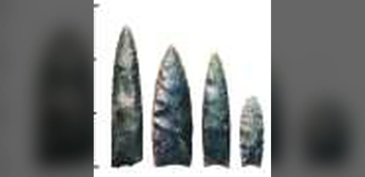 Study Questions Whether Clovis People Hunted or Scavenged Mammoths