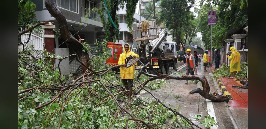 BMC Report on Chembur Tree Fall Faces Criticism Over Clearance for Officials