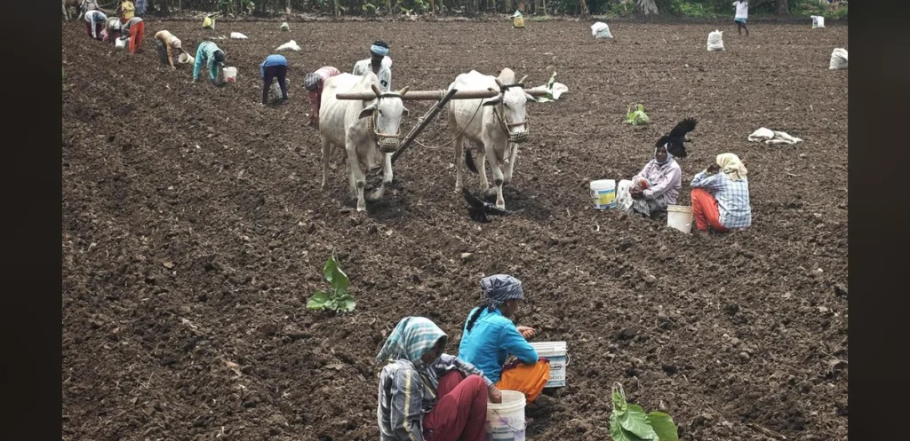Kharif Crop Outlook Worsens in Telangana Amid Monsoon Shortfall