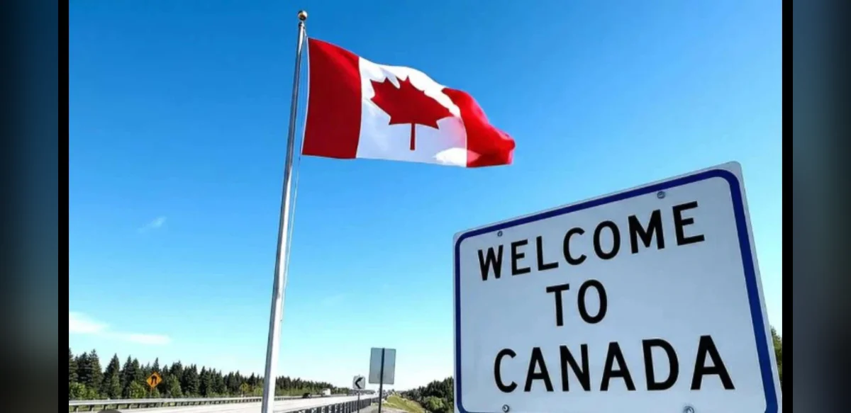 Indian Reddit User in Canada Finds Permanent Residency Unlikely Despite Steady Job
