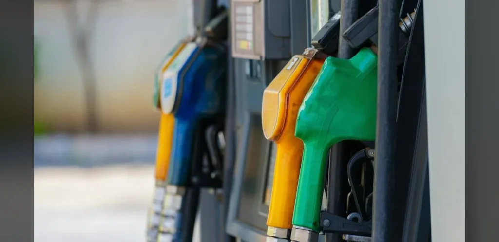 Motorists May Buy Pure Petrol at Higher Cost, Minister Gadkari States