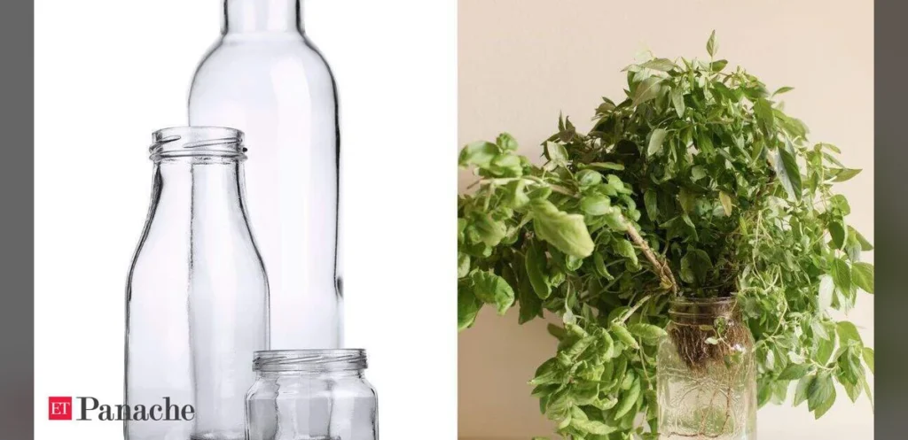 Repurposing Used Glass Jars: Practical Ideas for Home Organization and Gardening