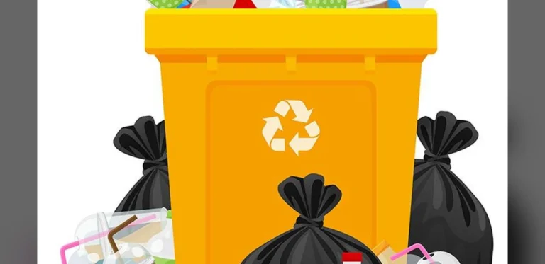 Kollam District to Enforce Strict Penalties on Illegal Waste Dumping