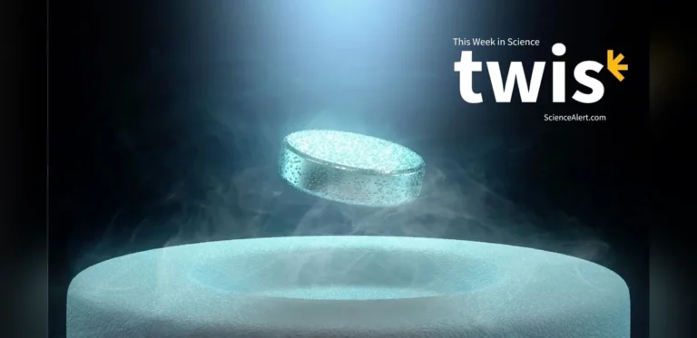 Weekly Science Update: Knee Pain Treatment, Superconductor Record, and Other Findings