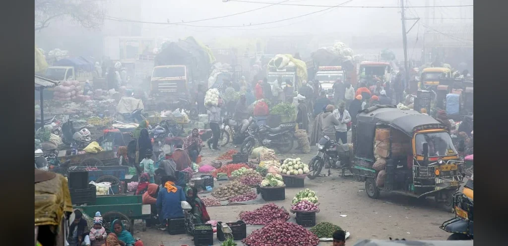 Report Finds Below-Normal Rainfall Does Not Automatically Raise Food Prices