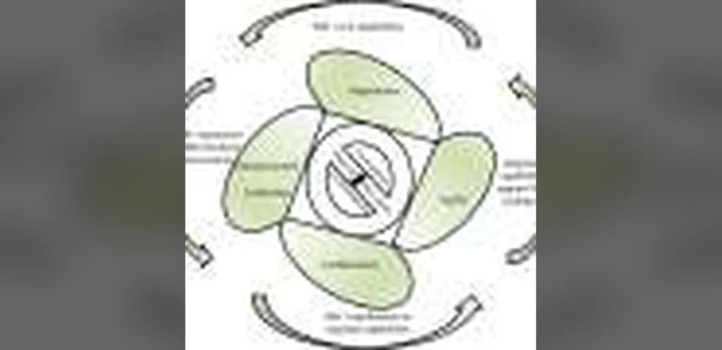 Bureaucracy and Misaligned Goals Reduce Social Businesses’ Regional Benefits, Study Shows