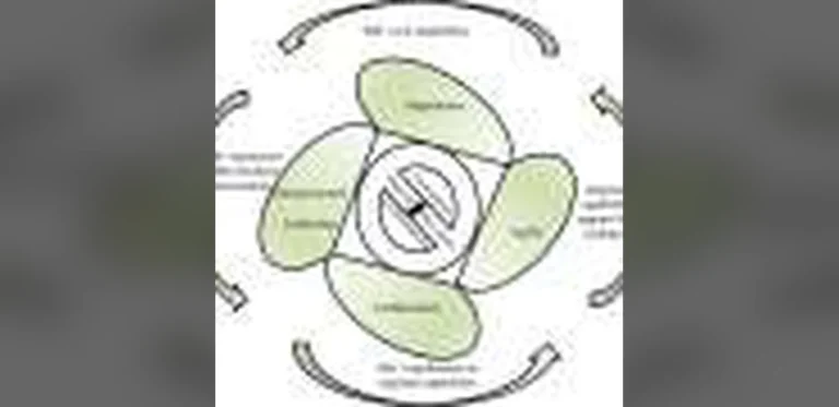 Bureaucracy and Misaligned Goals Reduce Social Businesses’ Regional Benefits, Study Shows