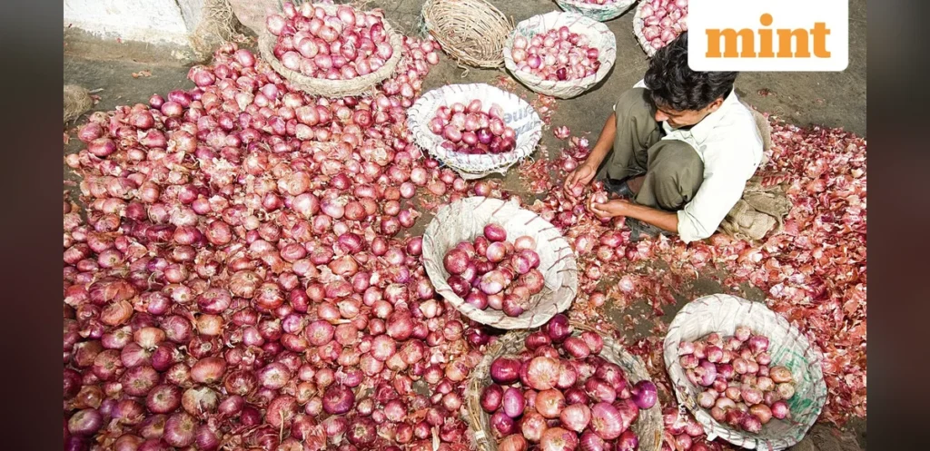 Government to Release Onion Stocks from September to Address Festive Demand and Limit Price Rise