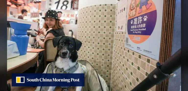 Dozens of eateries exit canine-friendly program as authorities issue dozens of notices