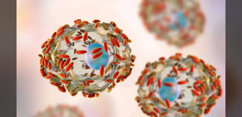 Cyclospora Parasite Outbreak Expands Across United States With Source Still Unknown