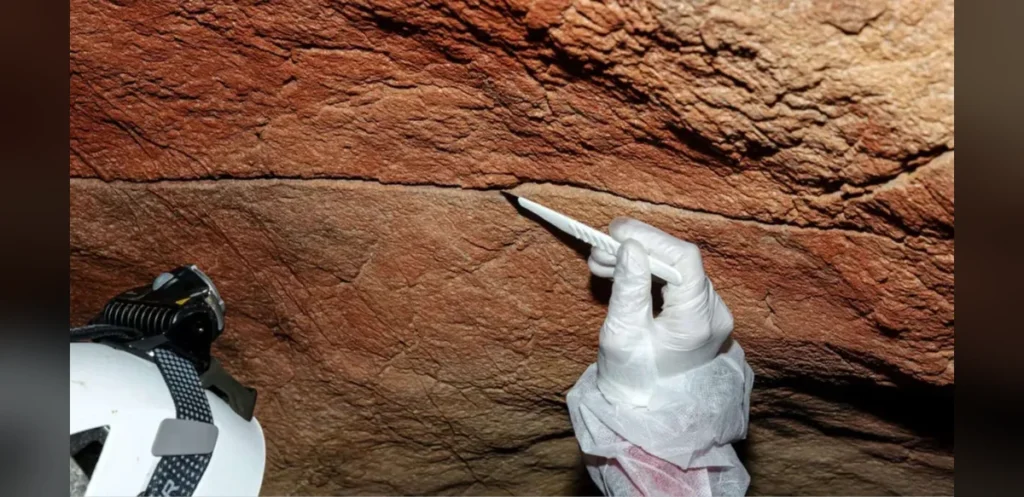 Ancient DNA Extracted from Cave Walls and Rock Art for First Time