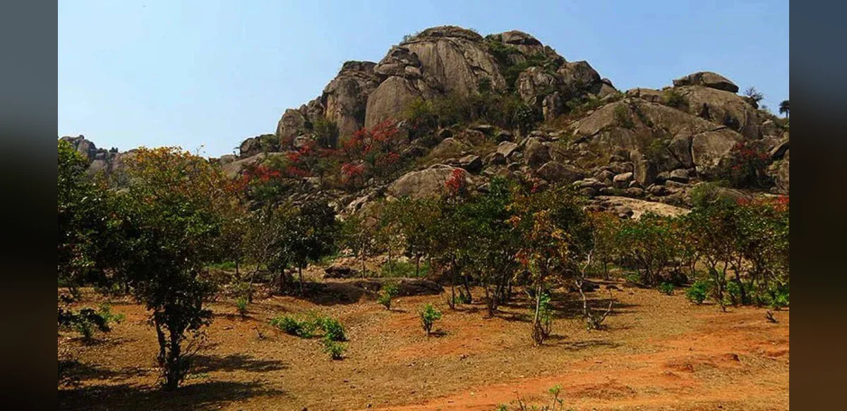 Discovery in India Reveals Microbial Activity in Ancient Rock Layers