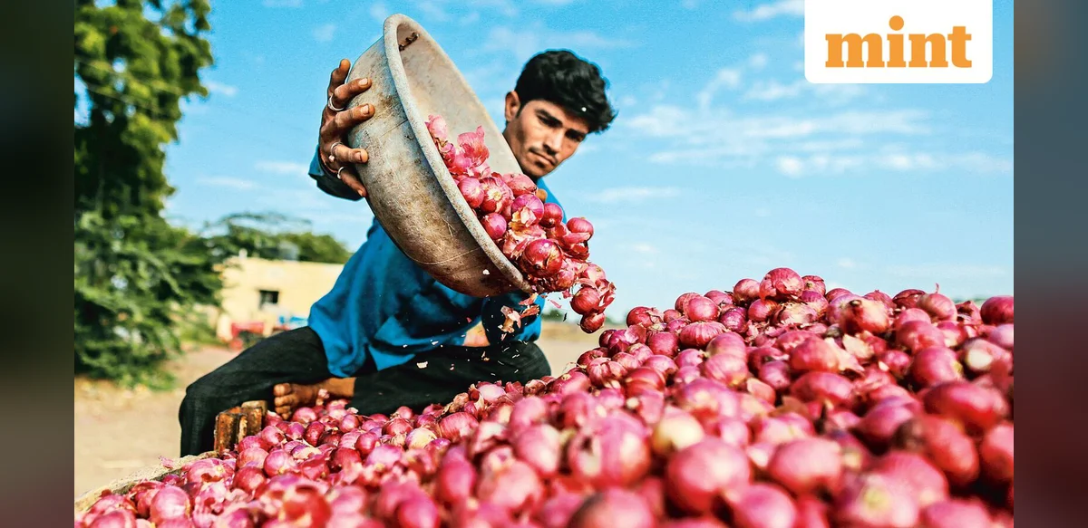 Central Government to Provide Onions at Subsidized Rate of 35 Rupees per Kilogram in Delhi