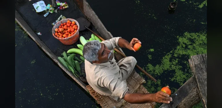 India Wholesale Price Inflation Dips Slightly to 9.78 Percent in July as Food and Fuel Costs Ease