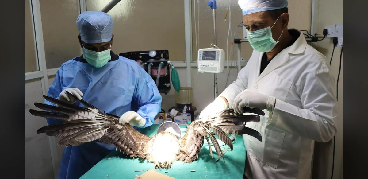 People for Animals Marks 30 Years of Wildlife Rescue Work in Bengaluru