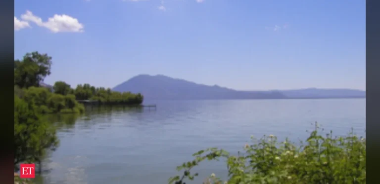 Sediment Cores from Clear Lake Reveal Long-Term Shifts in California Forest Ecosystems