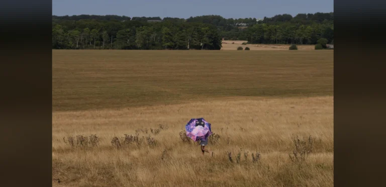France and England Fight Multiple Wildfires Amid Record European Heat