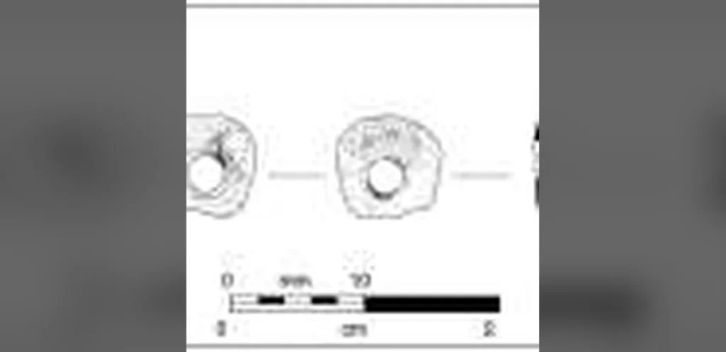 Ancient Scallop Bead Discovery Extends Timeline of California Coastal Trade