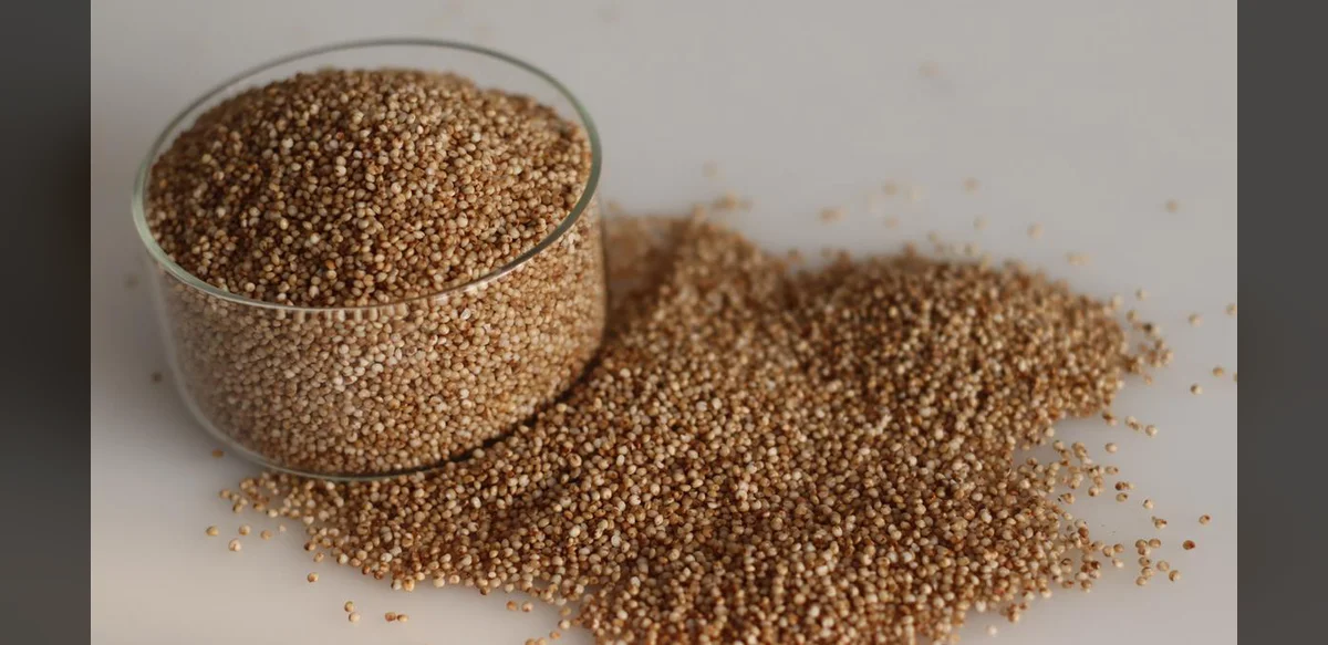 Research Finds Iron-Zinc Fortified Millet Safe for Young Children’s Digestion