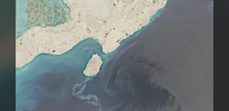 Oil Spill Poses Threat to Mangrove Forests in Persian Gulf