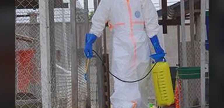 Congo Reports Deadliest Ebola Outbreak with More Than 2,300 Deaths