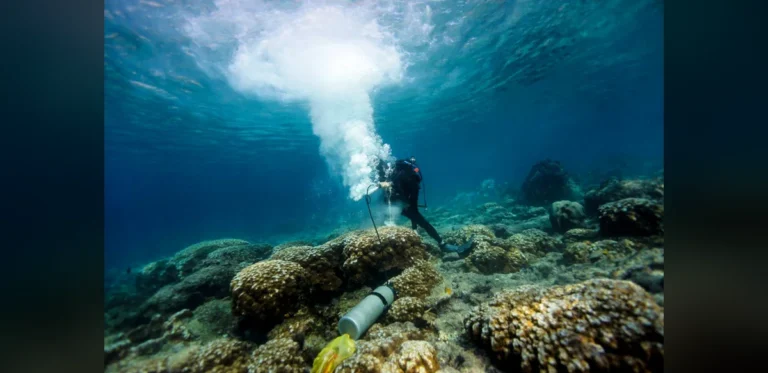 Coral Evidence from Galapagos Indicates Intensifying El Niño Patterns Amid Rising Temperatures