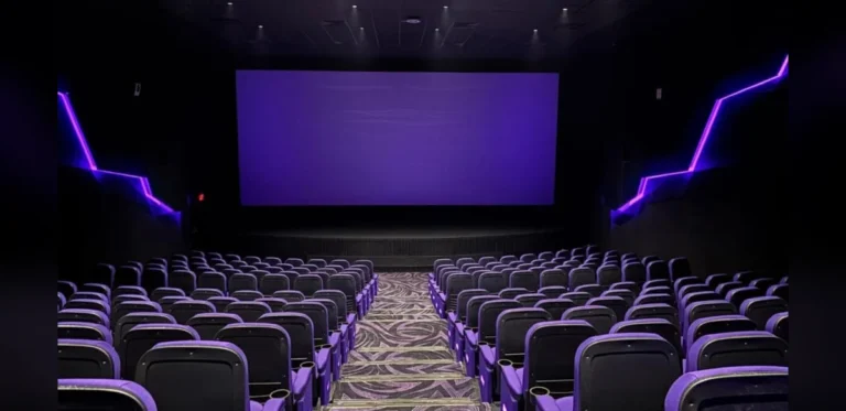 Delhi HC Asks Centre, CBFC To Decide On Accessibility Features In Cinema, OTT For Disabled