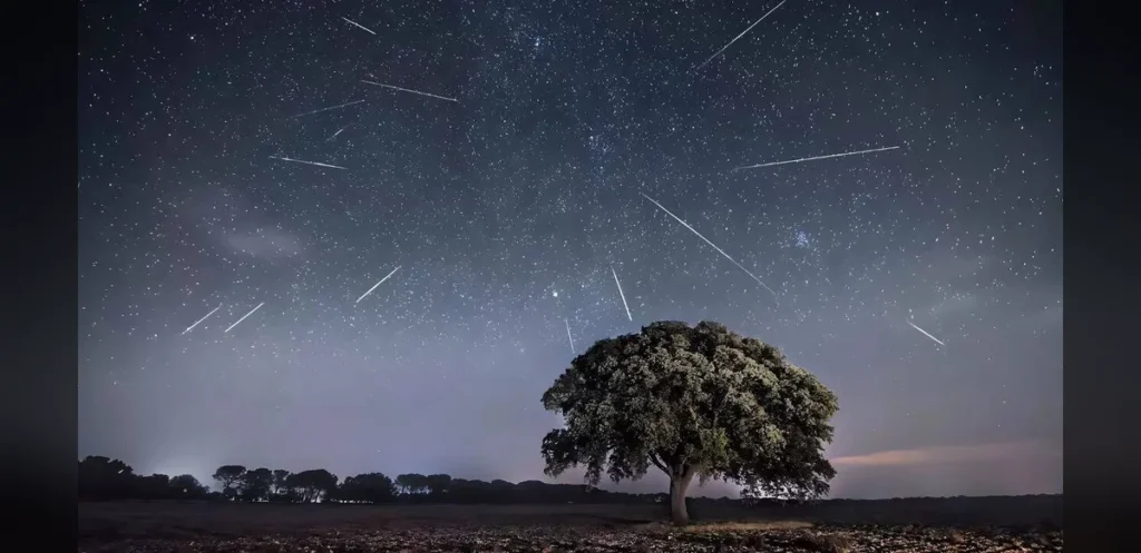 Perseid Meteor Shower Peaks in 2026: Best Viewing Times, Locations and Viewing Tips