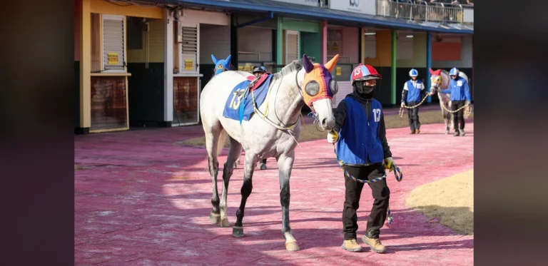 Horse Racing Authority Faces Backlash Over Races Held in Extreme Heat