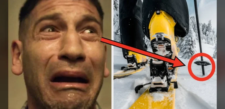 Unusual Incidents Highlight the Unpredictability of Everyday Life